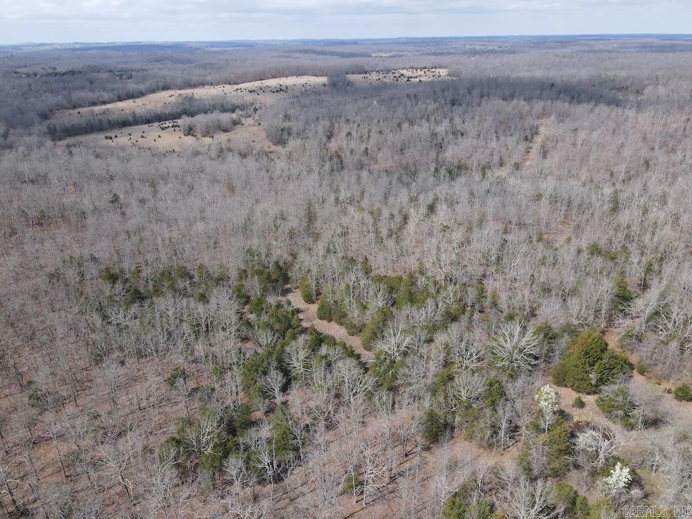 Photo 25 - Vacant Land for sale –   Red Bud Road   Sturkie, AR