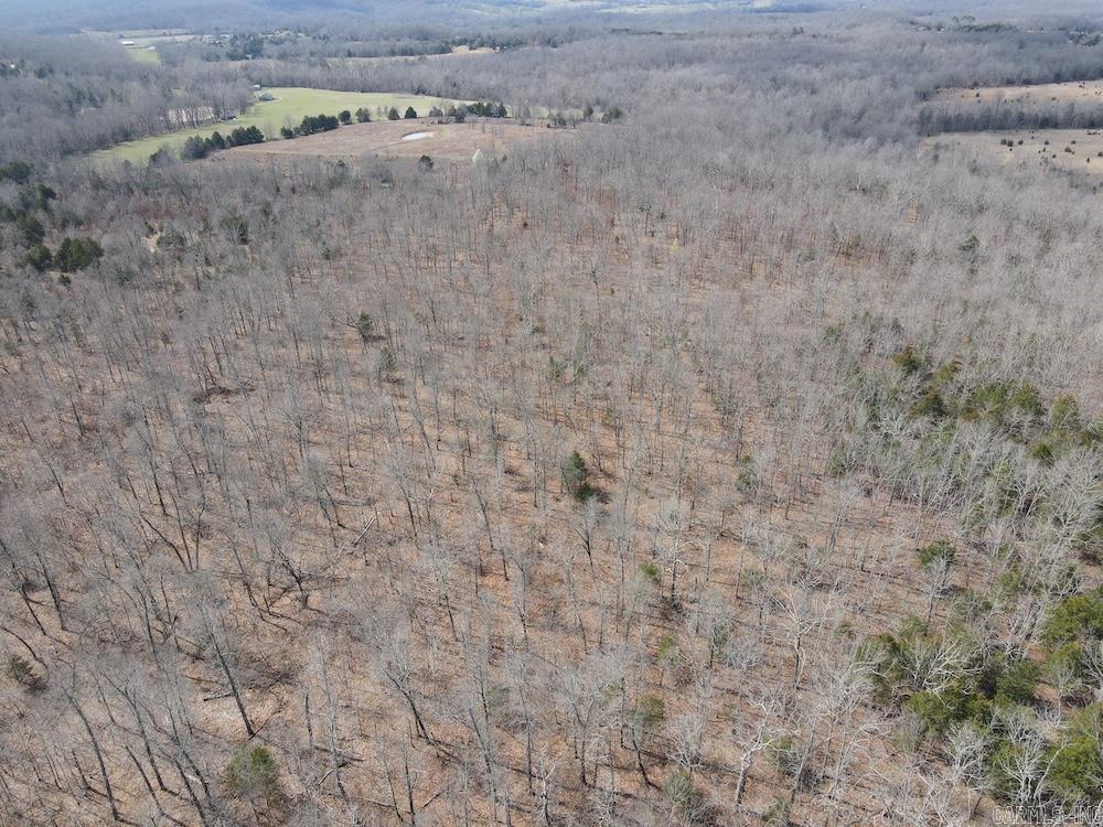 Photo 26 - Vacant Land for sale –   Red Bud Road   Sturkie, AR