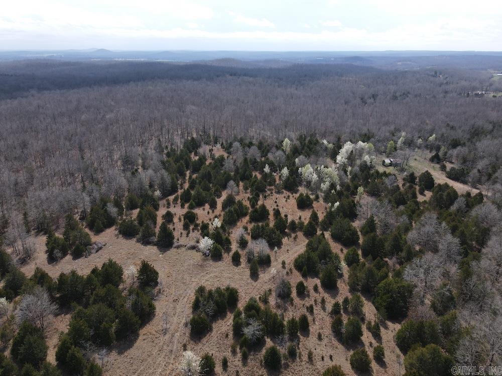 Photo 27 - Vacant Land for sale –   Red Bud Road   Sturkie, AR