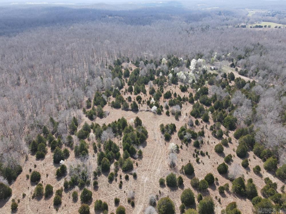 Photo 28 - Vacant Land for sale –   Red Bud Road   Sturkie, AR