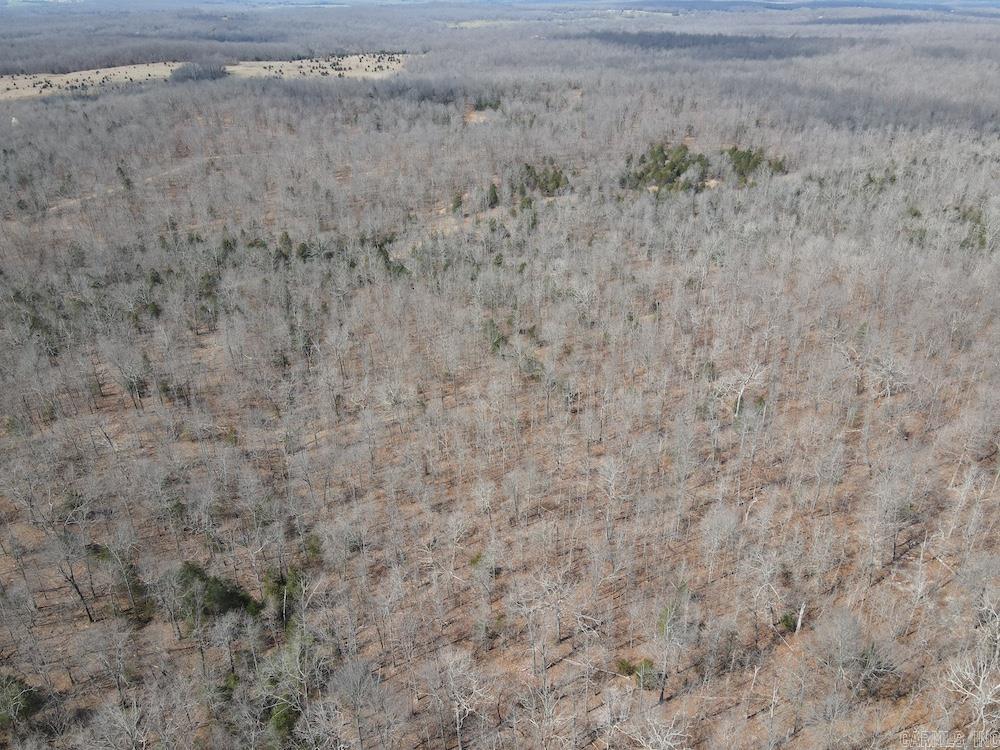 Photo 29 - Vacant Land for sale –   Red Bud Road   Sturkie, AR