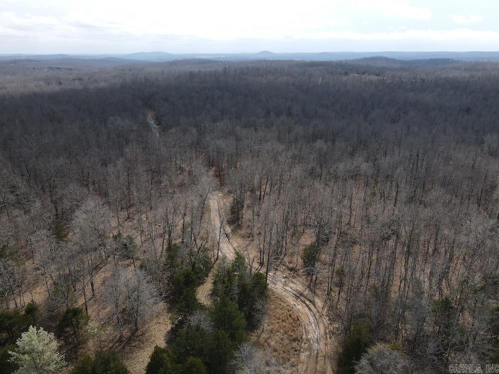 Photo 30 - Vacant Land for sale –   Red Bud Road   Sturkie, AR