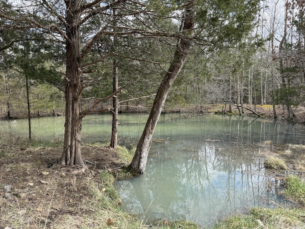 Photo 4 - Vacant Land for sale –   Red Bud Road   Sturkie, AR