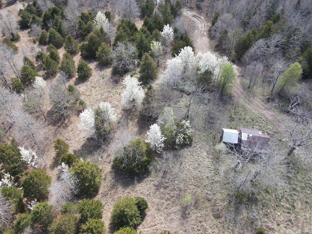 Photo 31 - Vacant Land for sale –   Red Bud Road   Sturkie, AR