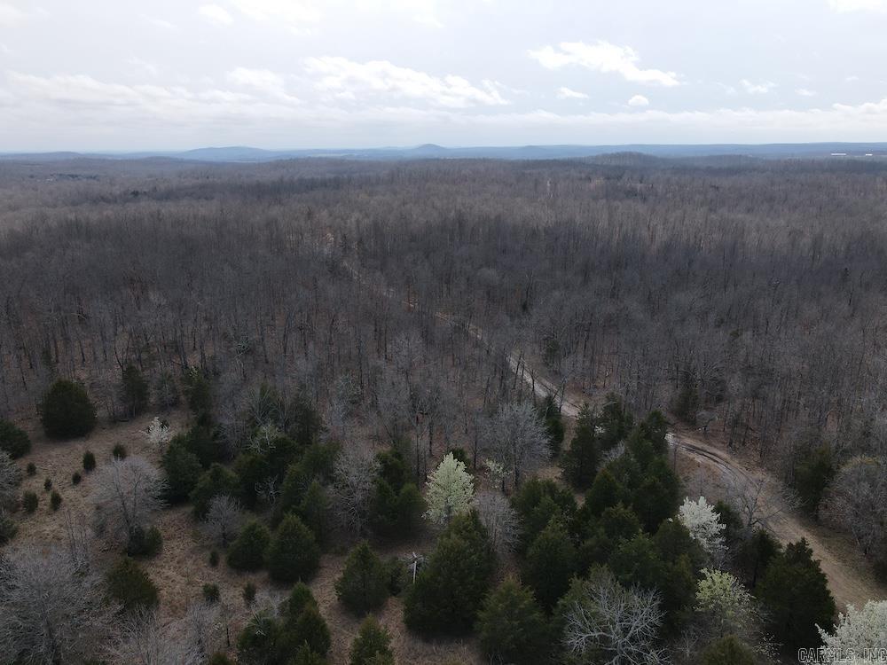 Photo 32 - Vacant Land for sale –   Red Bud Road   Sturkie, AR