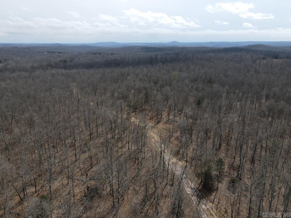 Photo 33 - Vacant Land for sale –   Red Bud Road   Sturkie, AR