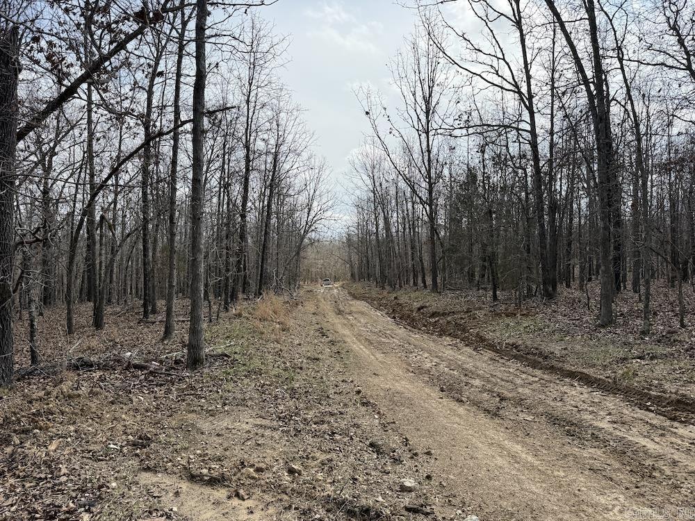 Photo 34 - Vacant Land for sale –   Red Bud Road   Sturkie, AR