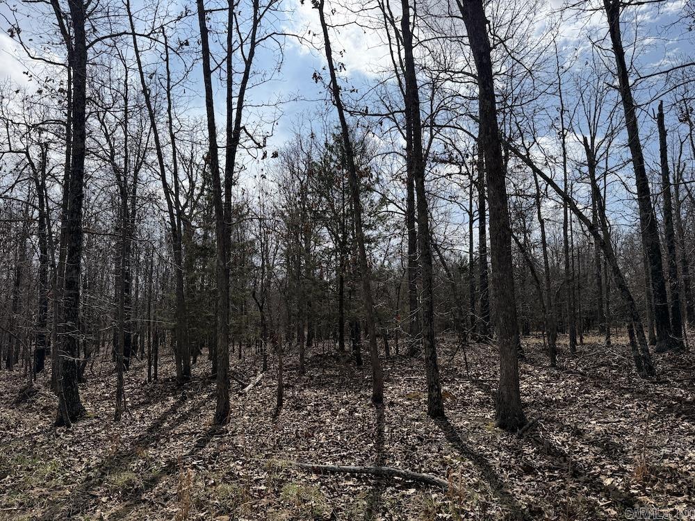 Photo 35 - Vacant Land for sale –   Red Bud Road   Sturkie, AR