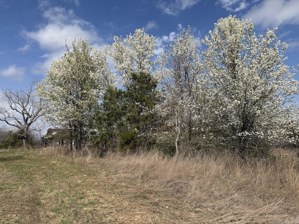 Photo 37 - Vacant Land for sale –   Red Bud Road   Sturkie, AR