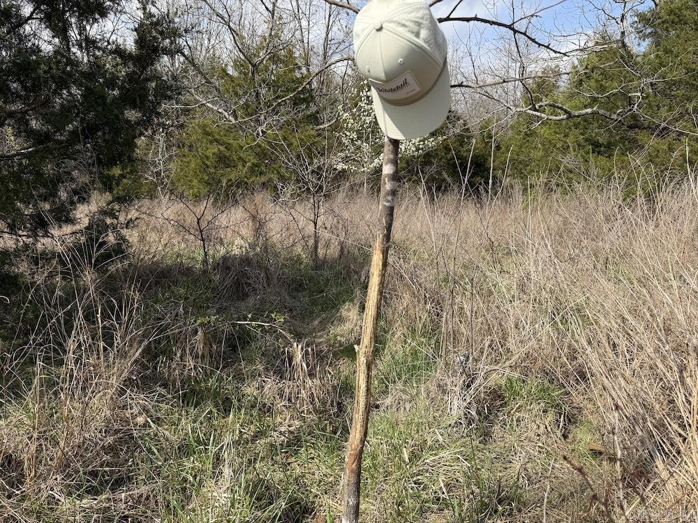 Photo 38 - Vacant Land for sale –   Red Bud Road   Sturkie, AR