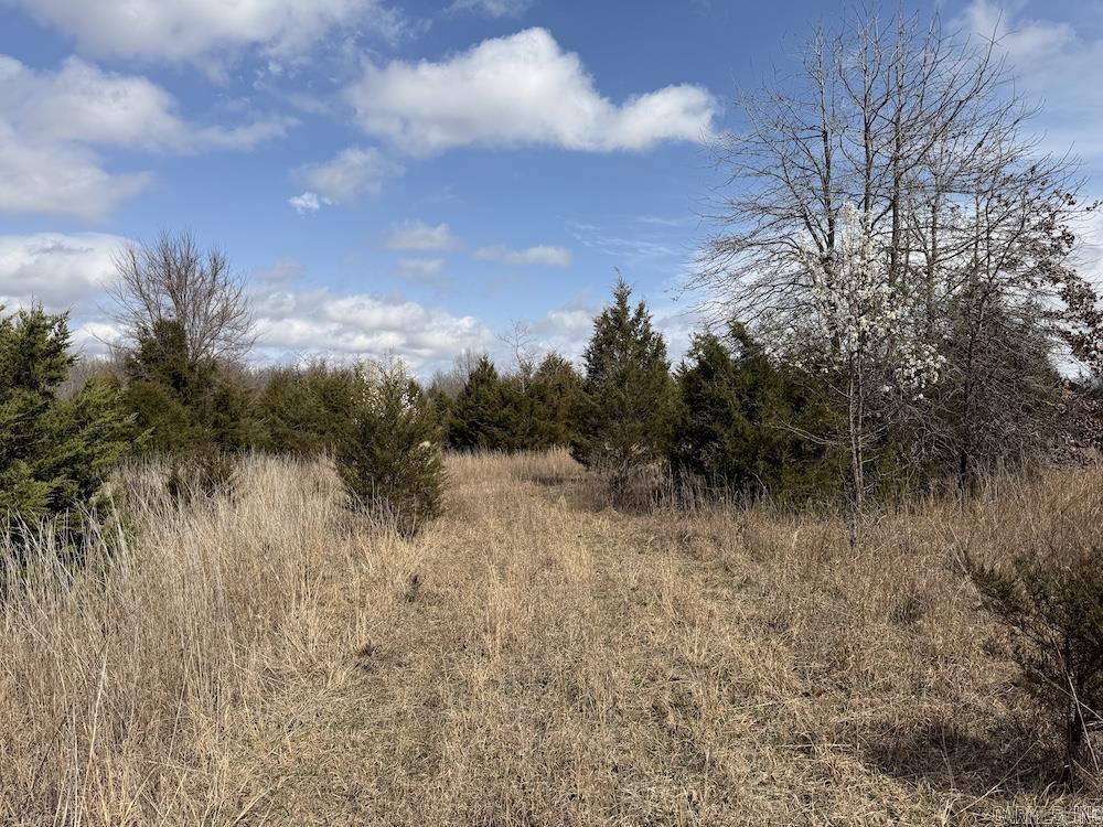 Photo 40 - Vacant Land for sale –   Red Bud Road   Sturkie, AR