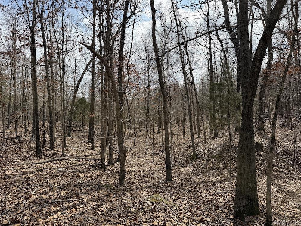 Photo 5 - Vacant Land for sale –   Red Bud Road   Sturkie, AR