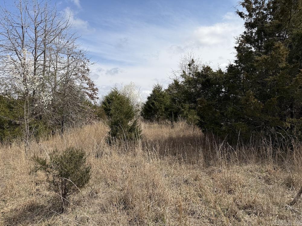 Photo 41 - Vacant Land for sale –   Red Bud Road   Sturkie, AR