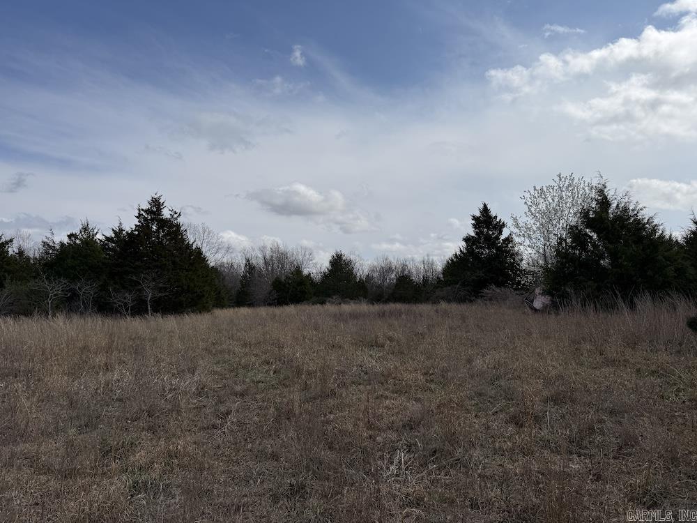 Photo 42 - Vacant Land for sale –   Red Bud Road   Sturkie, AR