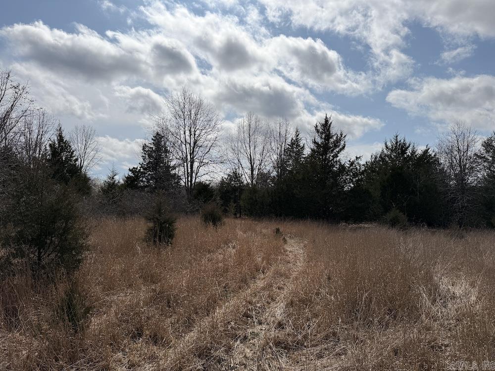 Photo 43 - Vacant Land for sale –   Red Bud Road   Sturkie, AR