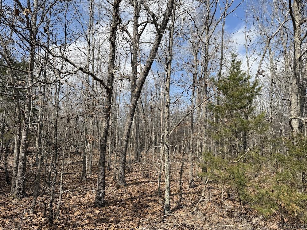 Photo 45 - Vacant Land for sale –   Red Bud Road   Sturkie, AR