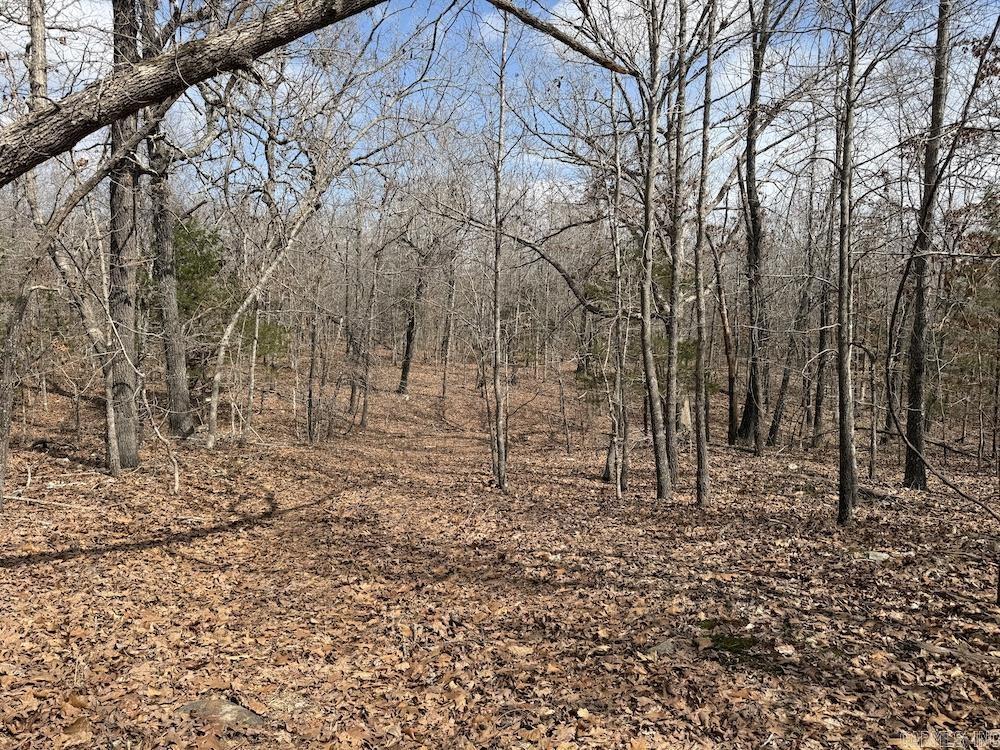 Photo 46 - Vacant Land for sale –   Red Bud Road   Sturkie, AR