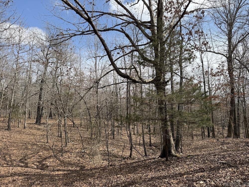 Photo 47 - Vacant Land for sale –   Red Bud Road   Sturkie, AR