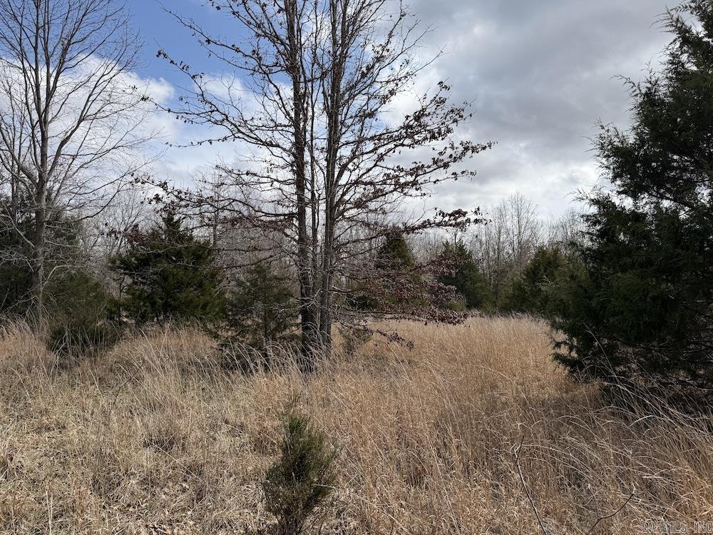Photo 48 - Vacant Land for sale –   Red Bud Road   Sturkie, AR