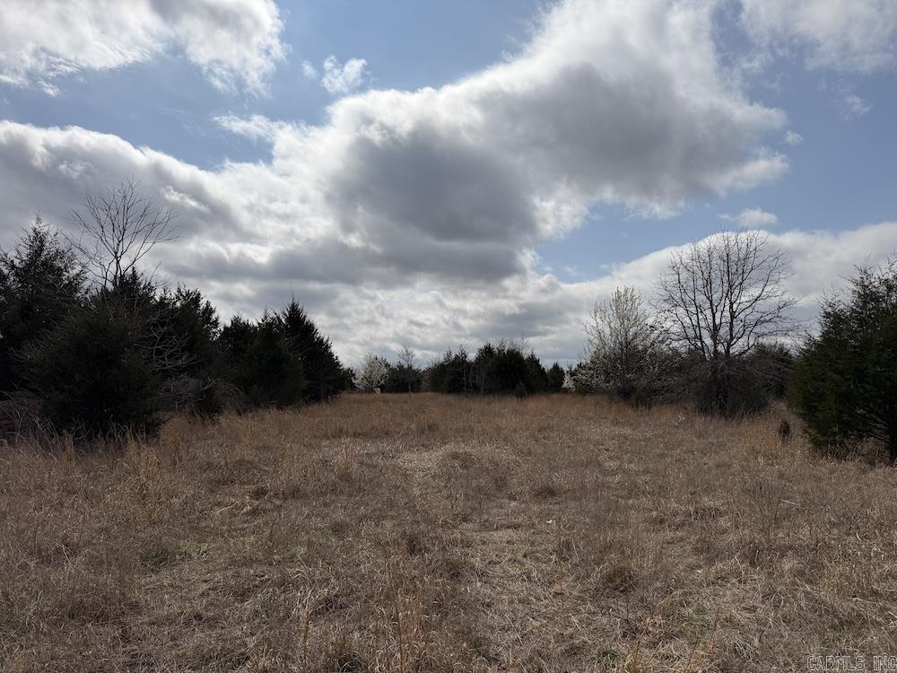 Photo 49 - Vacant Land for sale –   Red Bud Road   Sturkie, AR