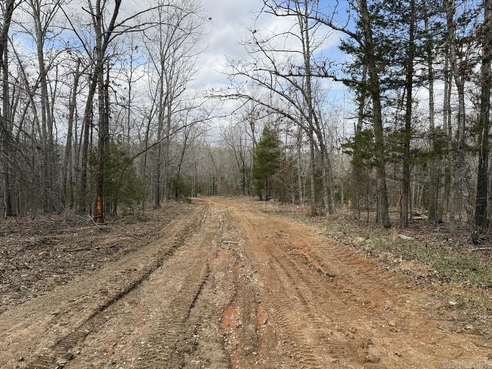 Photo 50 - Vacant Land for sale –   Red Bud Road   Sturkie, AR