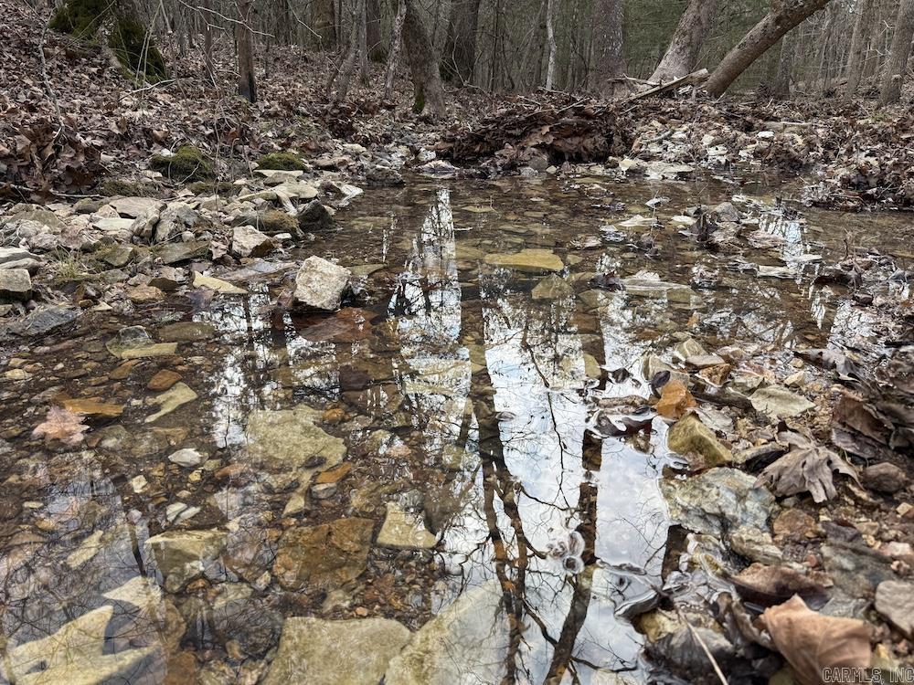 Photo 6 - Vacant Land for sale –   Red Bud Road   Sturkie, AR