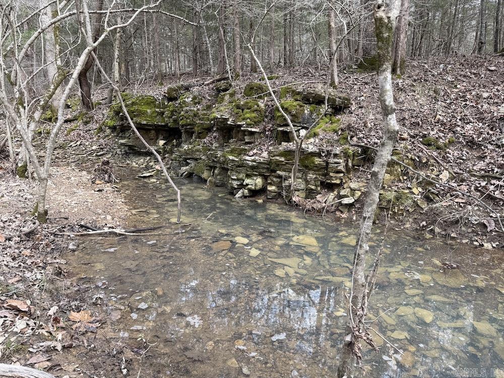 Photo 7 - Vacant Land for sale –   Red Bud Road   Sturkie, AR