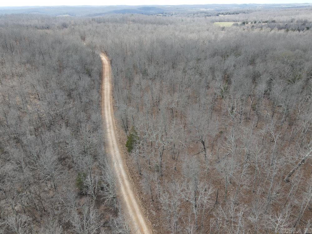 Photo 8 - Vacant Land for sale –   Red Bud Road   Sturkie, AR