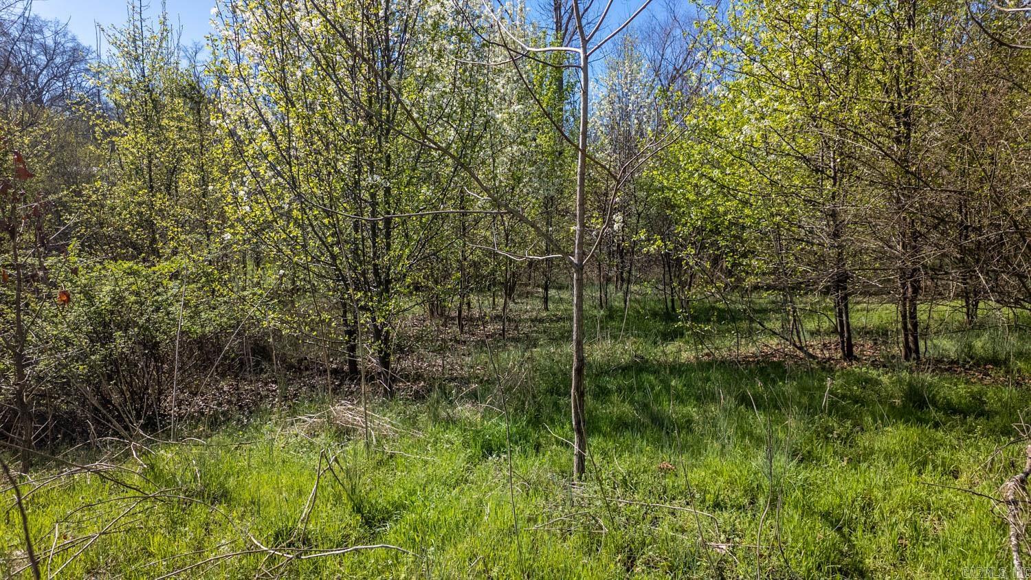 Photo 10 - Vacant Land for sale – 000  Main Street   Mammoth Spring, AR