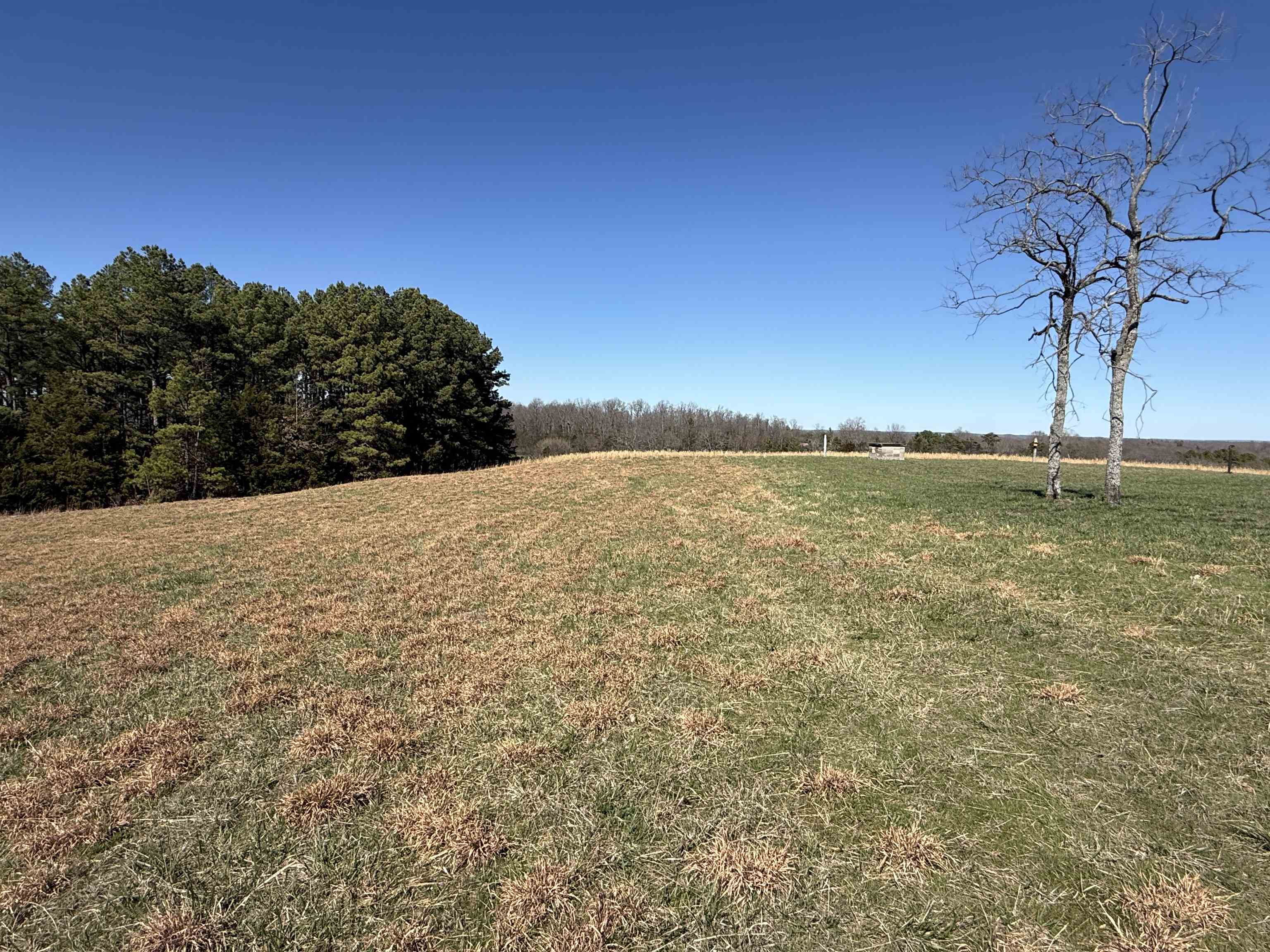 Photo 31 - Residential for sale – 81  AR 58 Spur Hwy   Melbourne, AR