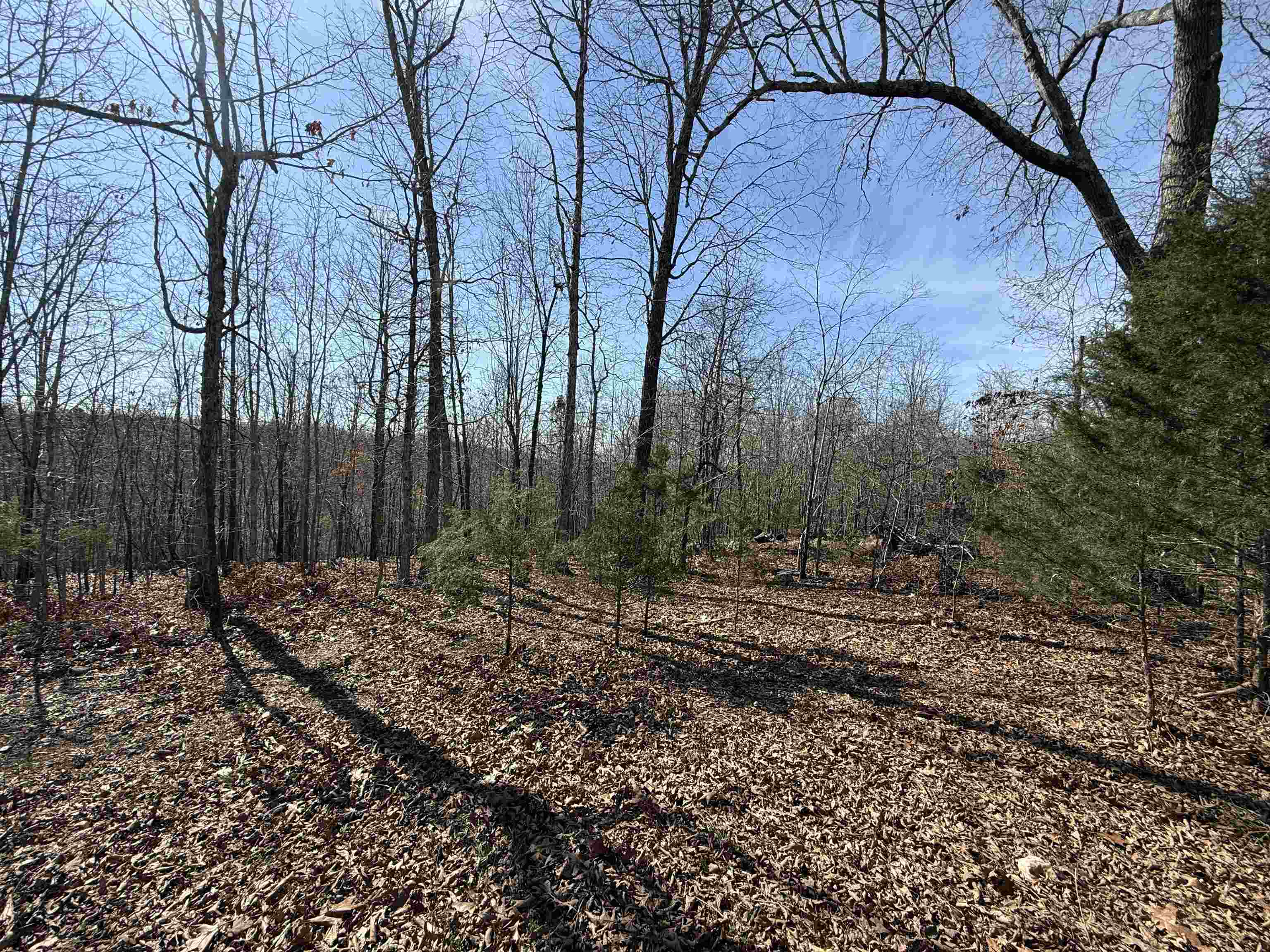 Photo 29 - Residential for sale – 1170  Many Islands   Mammoth Spring, AR