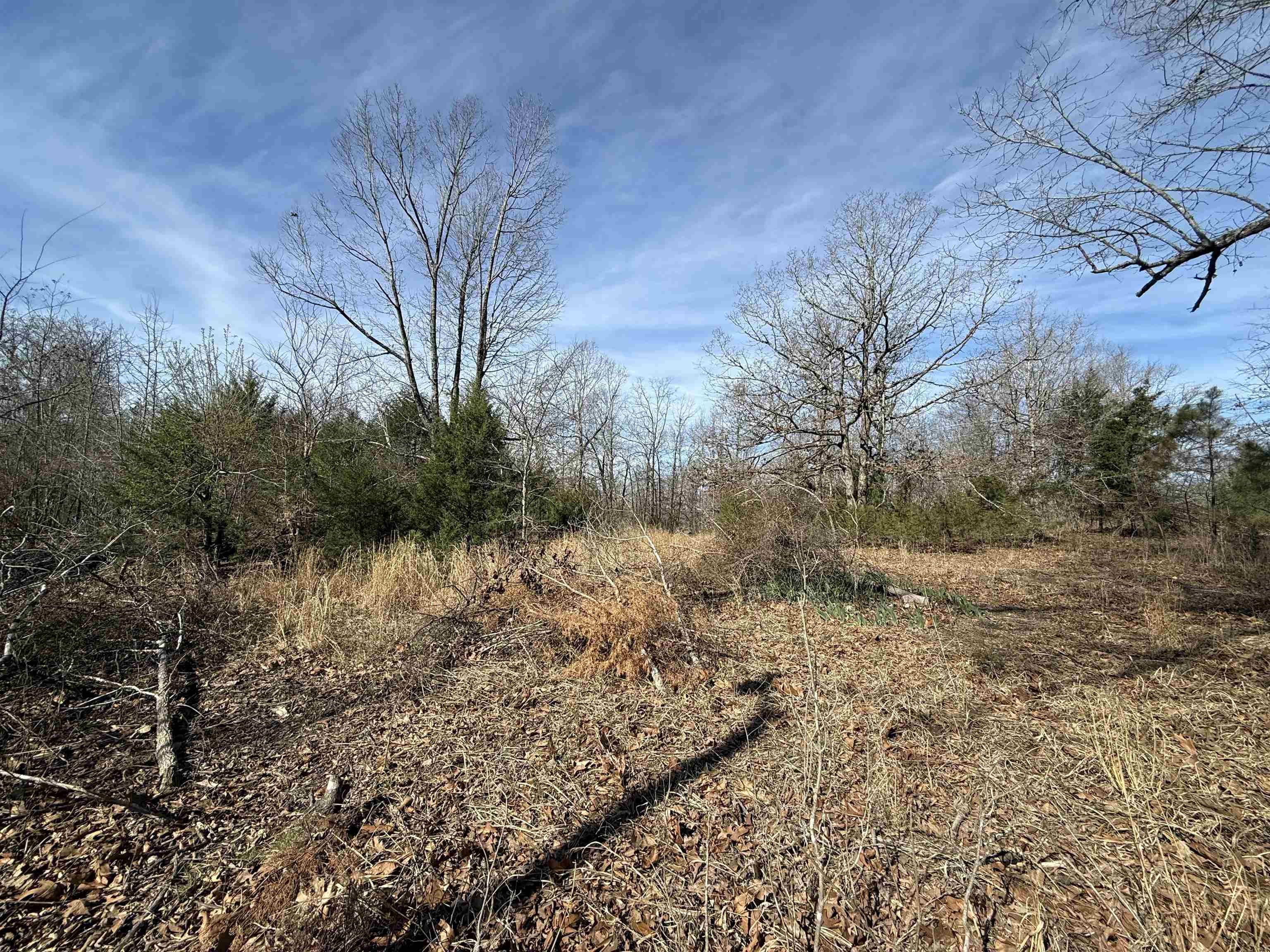 Photo 35 - Residential for sale – 1170  Many Islands   Mammoth Spring, AR