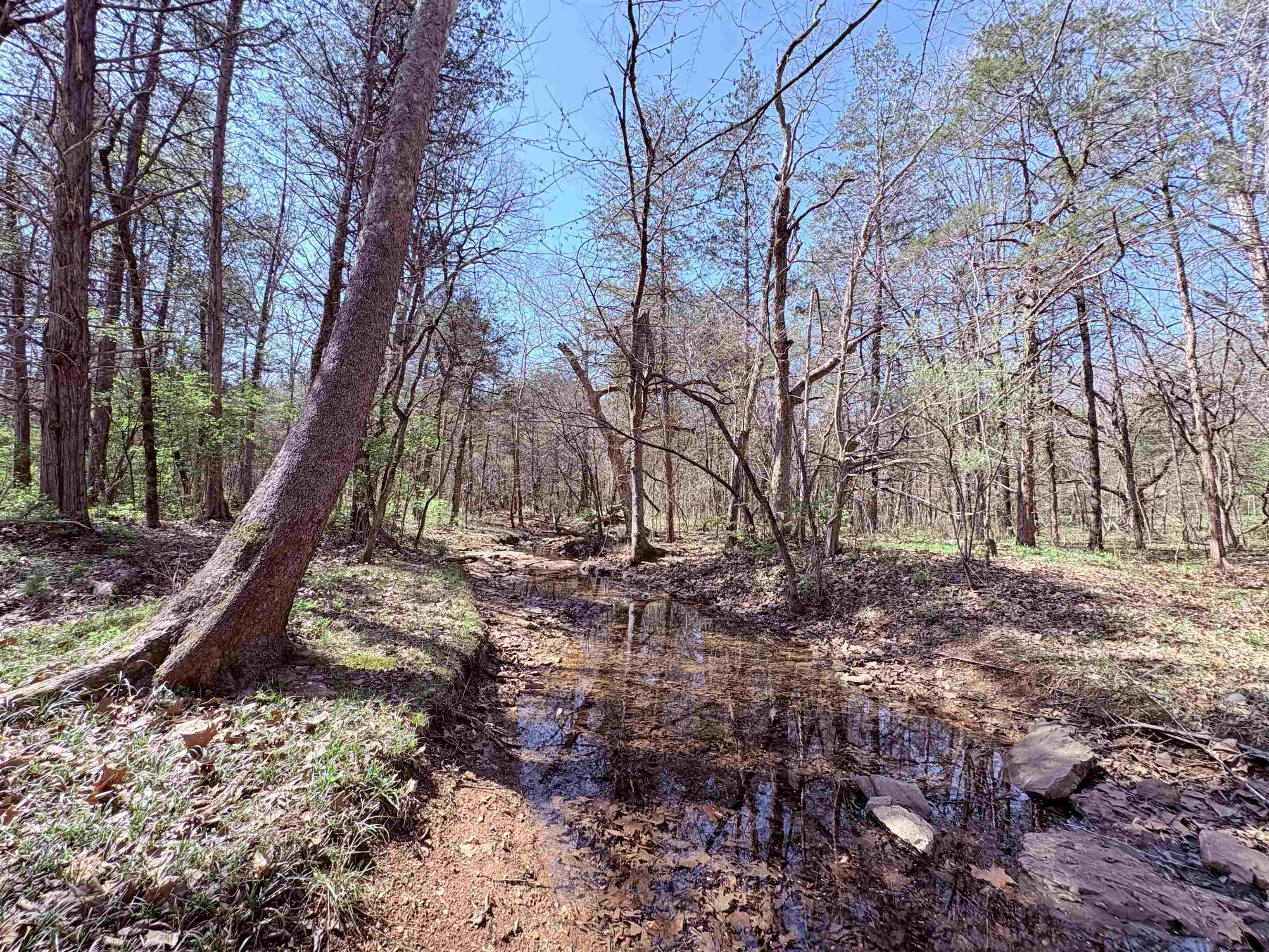 Photo 4 - Residential for sale – 161  Cherokee   Cherokee Village, AR