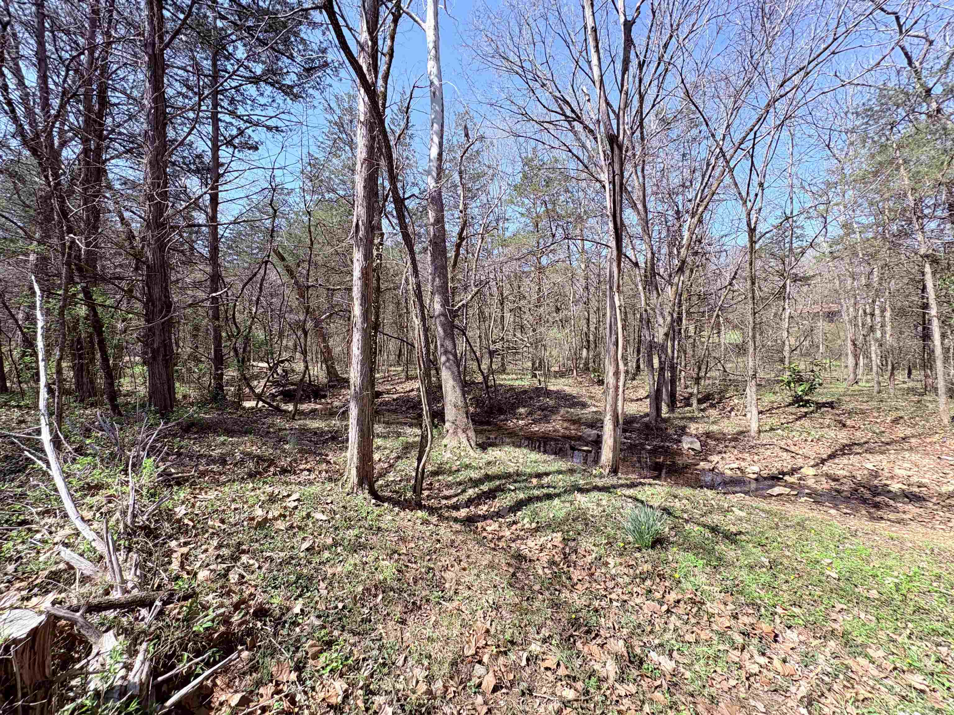 Photo 31 - Residential for sale – 161  Cherokee   Cherokee Village, AR