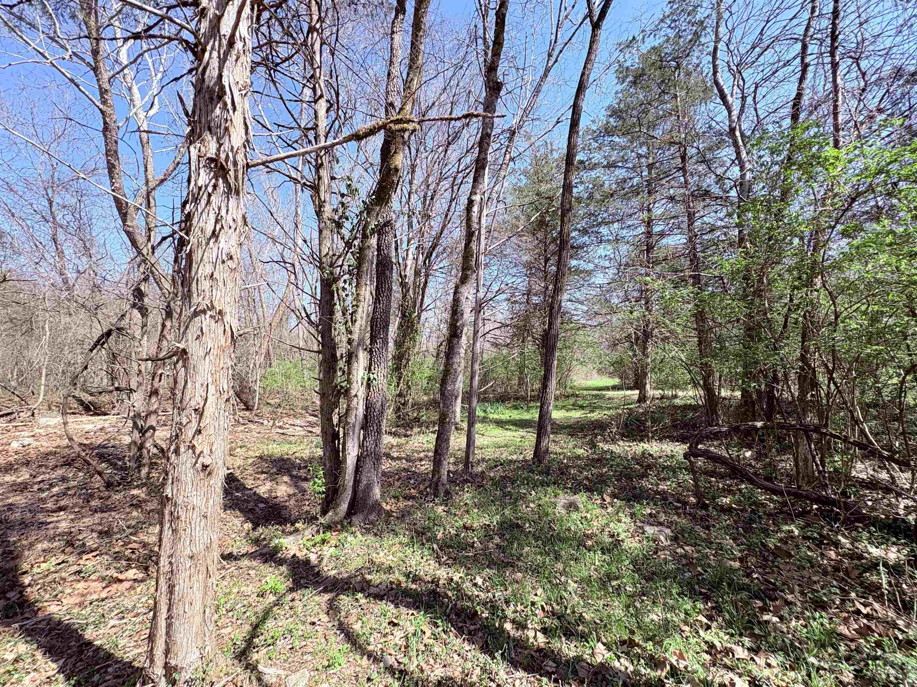 Photo 32 - Residential for sale – 161  Cherokee   Cherokee Village, AR