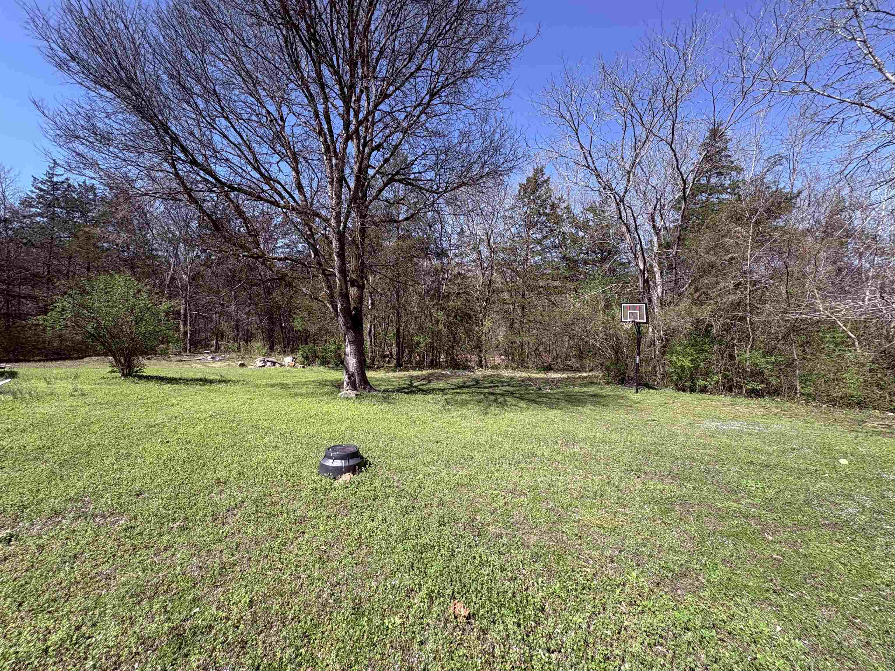 Photo 6 - Residential for sale – 161  Cherokee   Cherokee Village, AR