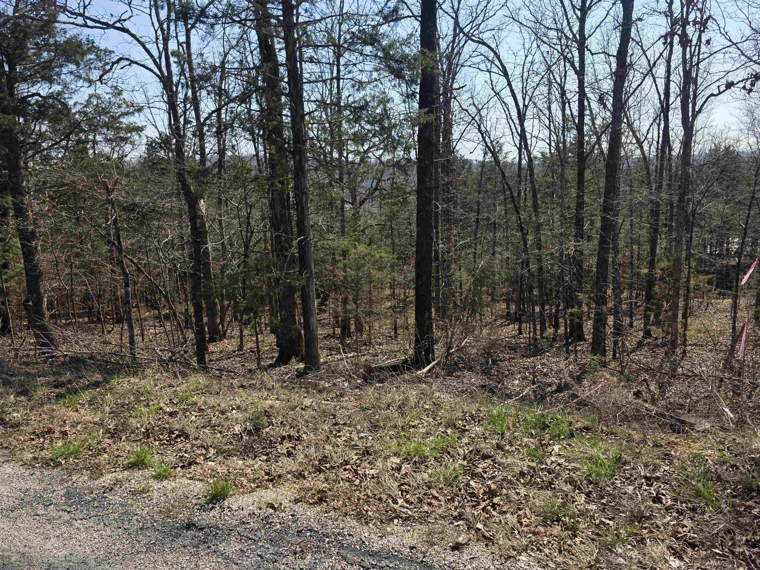 Vacant Land for sale – L31 B3  Ohew   Cherokee Village, AR