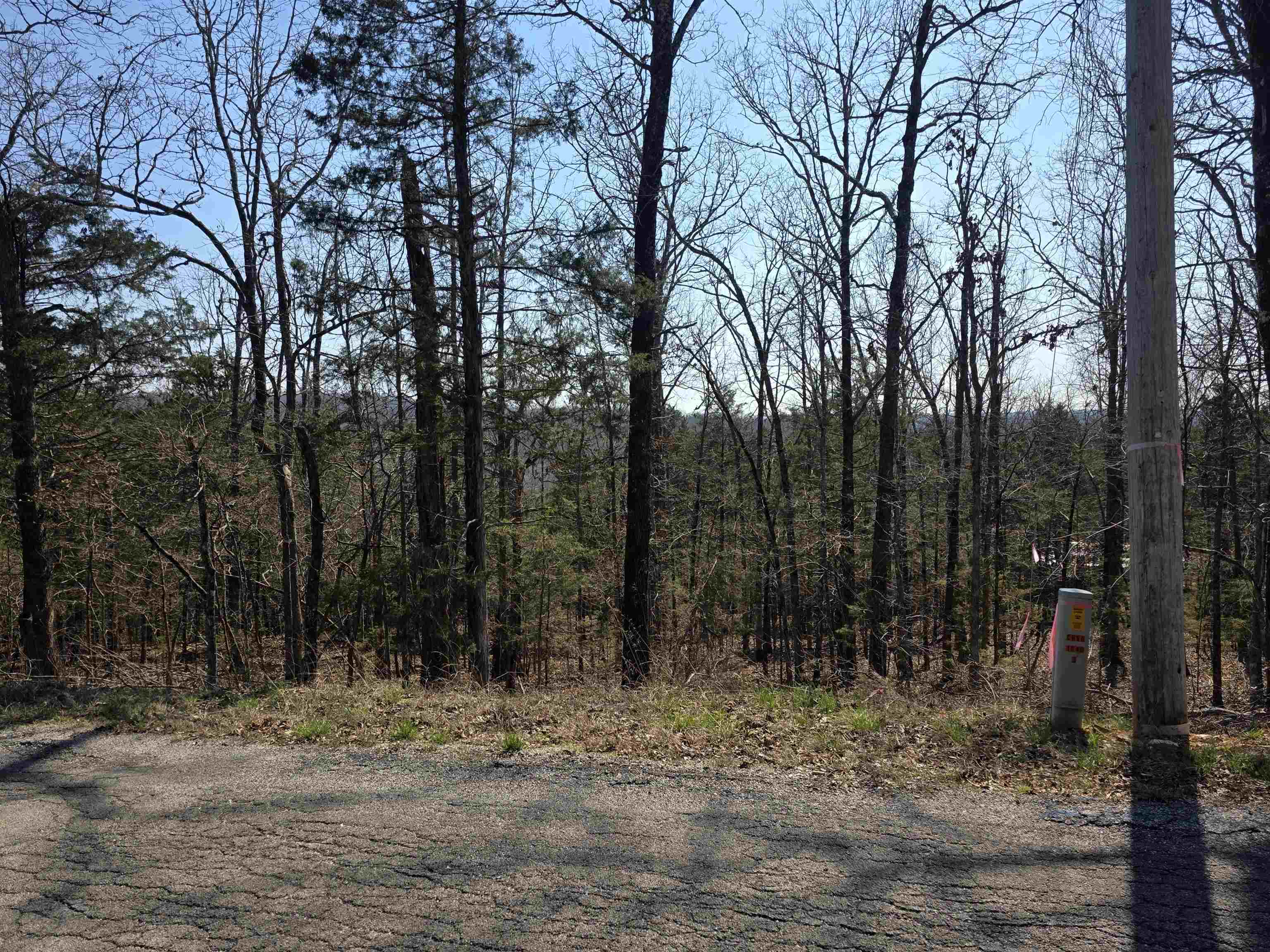 Photo 2 - Vacant Land for sale – L31 B3  Ohew   Cherokee Village, AR