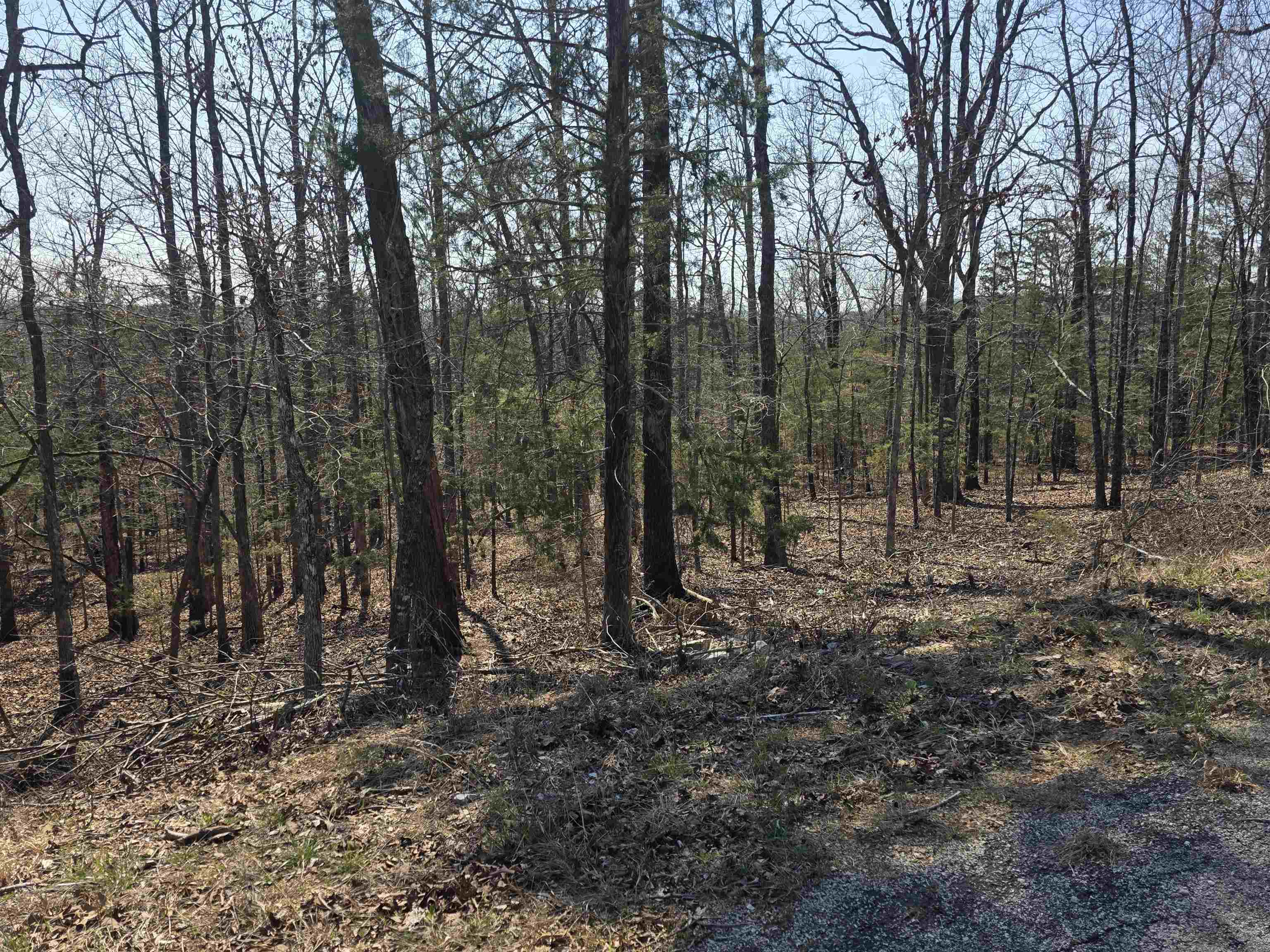 Photo 11 - Vacant Land for sale – L31 B3  Ohew   Cherokee Village, AR