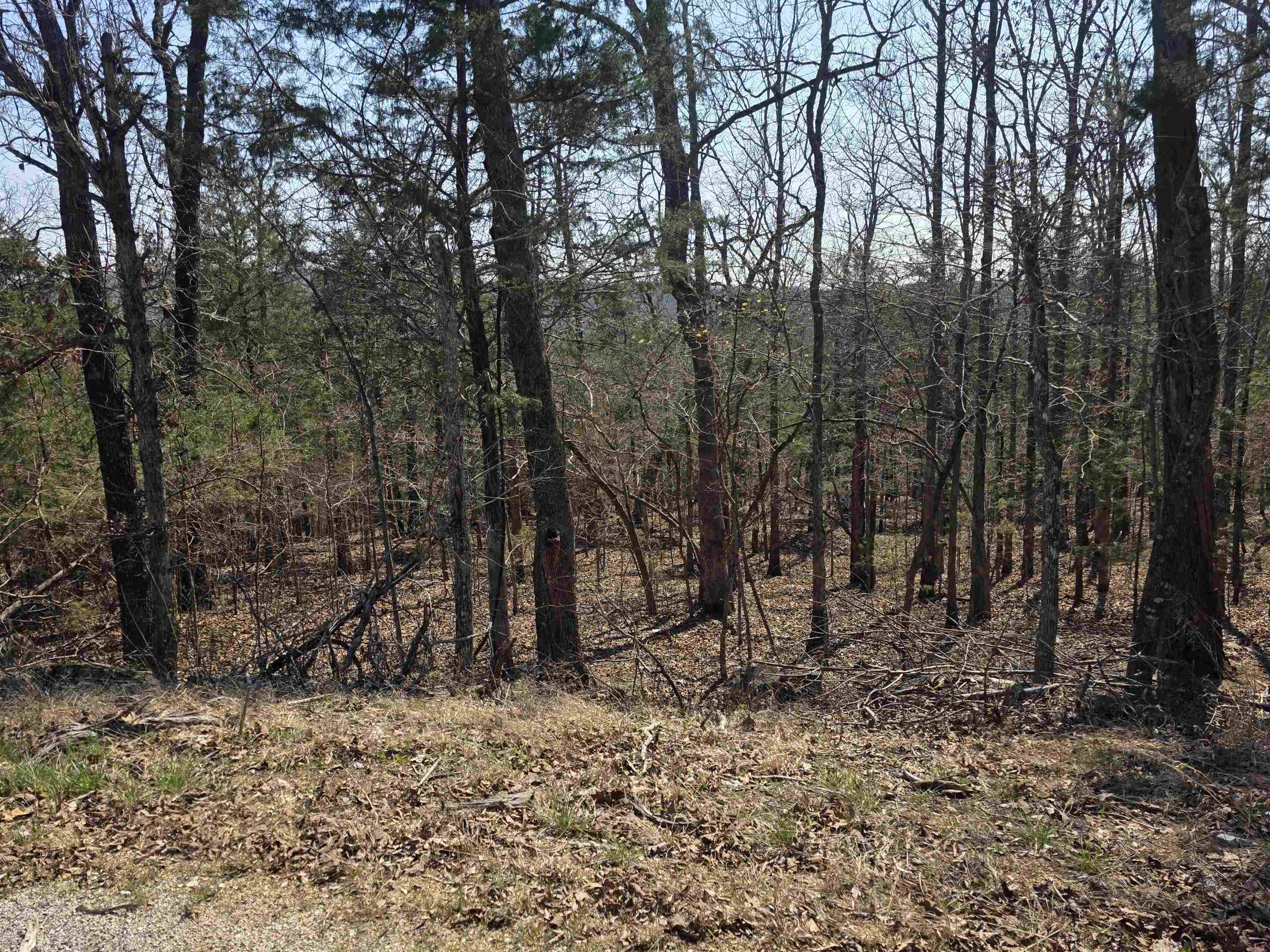 Photo 12 - Vacant Land for sale – L31 B3  Ohew   Cherokee Village, AR