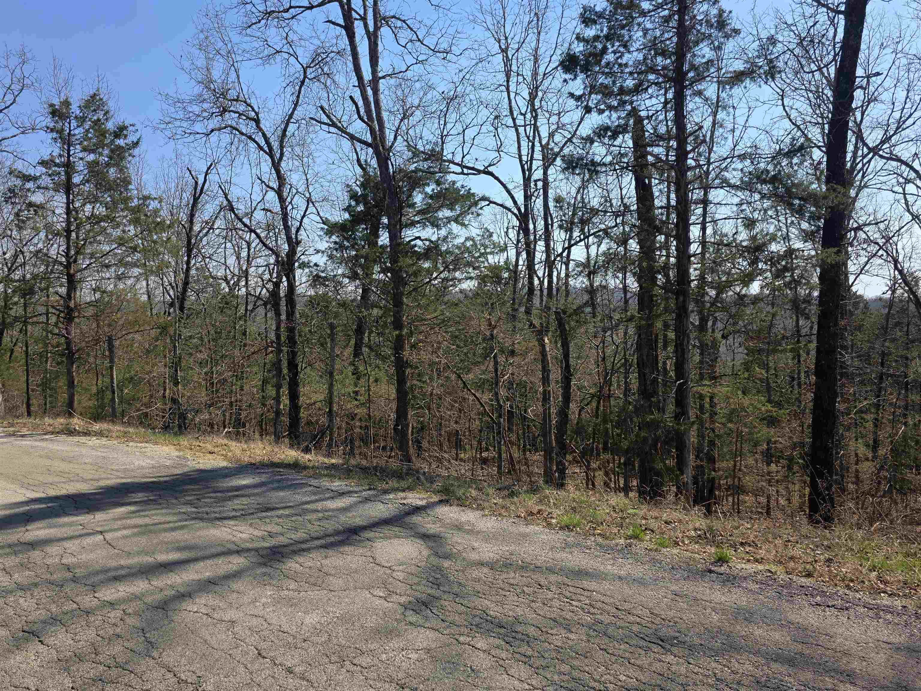 Photo 3 - Vacant Land for sale – L31 B3  Ohew   Cherokee Village, AR