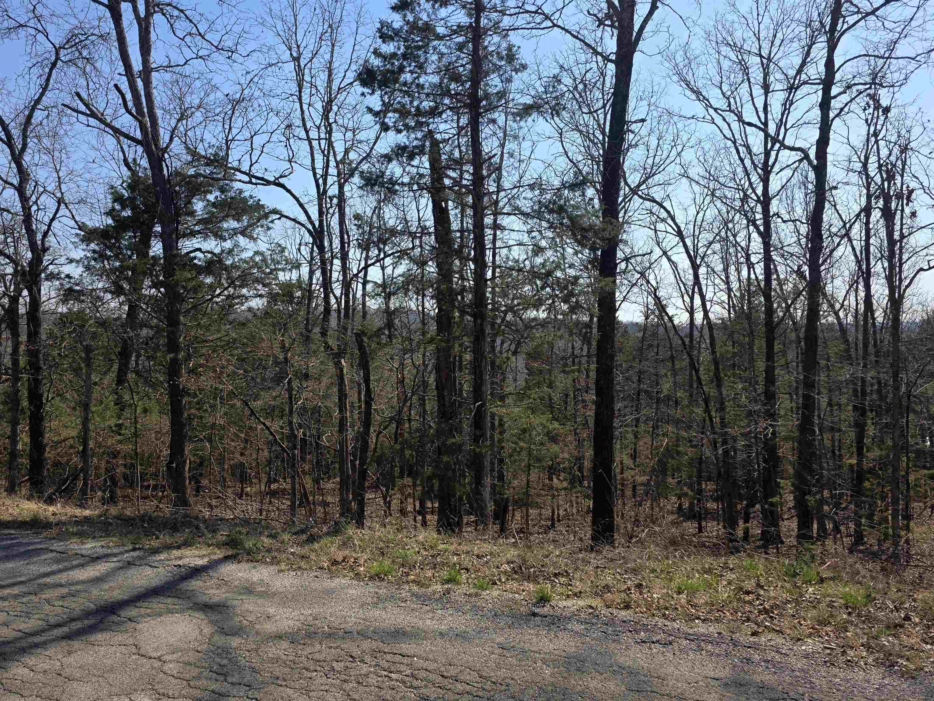 Photo 4 - Vacant Land for sale – L31 B3  Ohew   Cherokee Village, AR