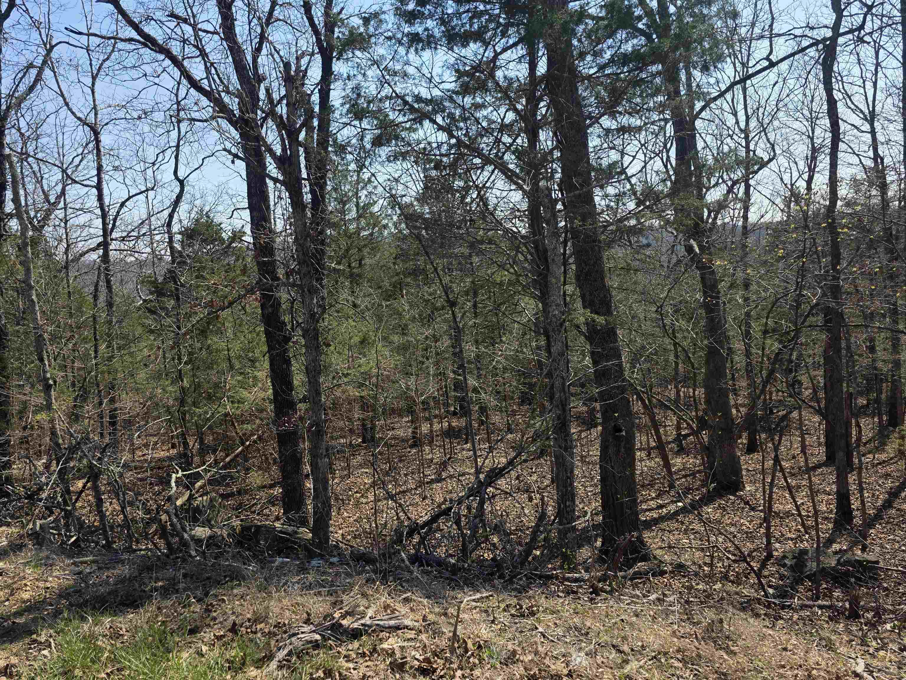 Photo 5 - Vacant Land for sale – L31 B3  Ohew   Cherokee Village, AR
