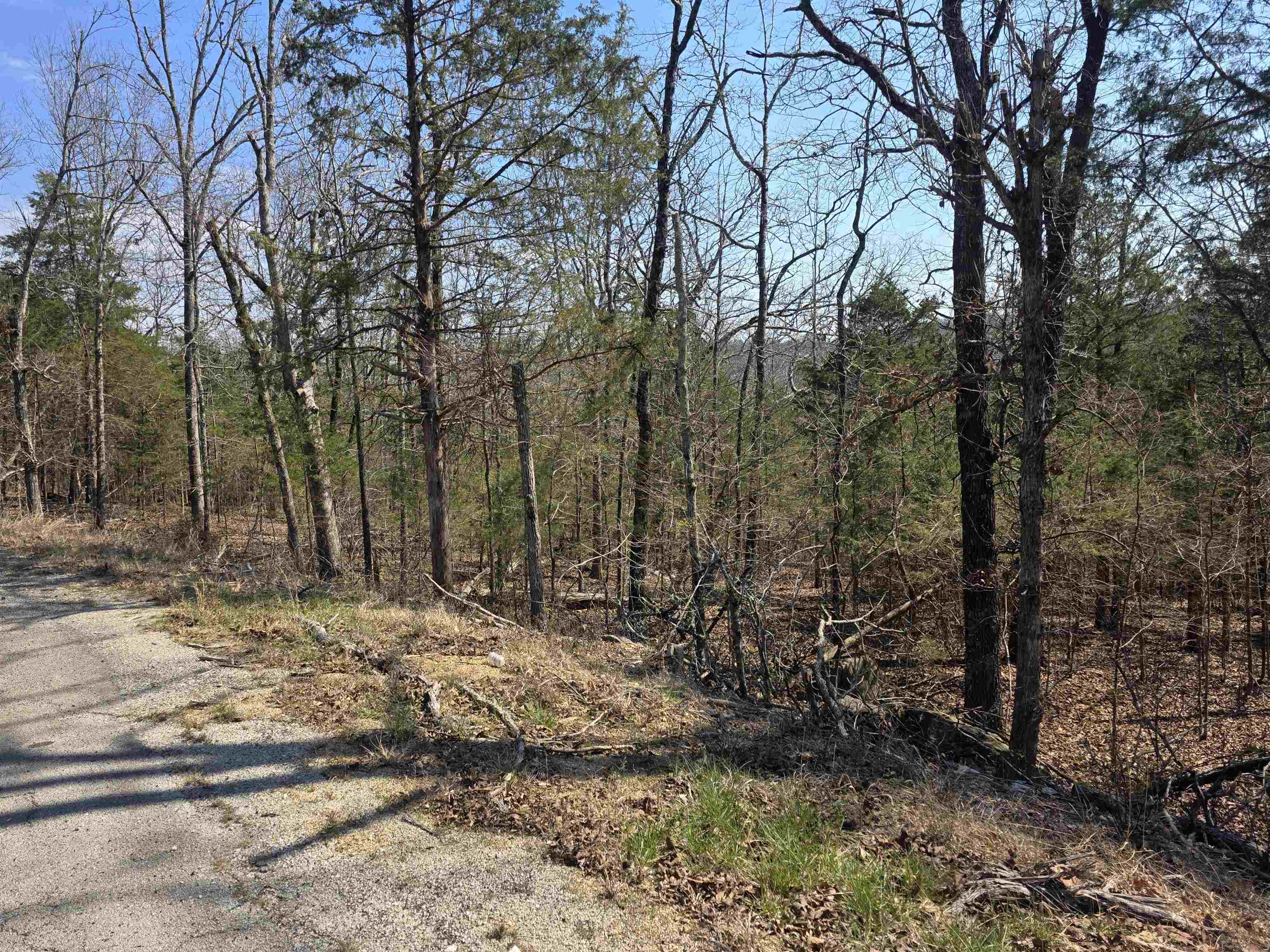 Photo 6 - Vacant Land for sale – L31 B3  Ohew   Cherokee Village, AR