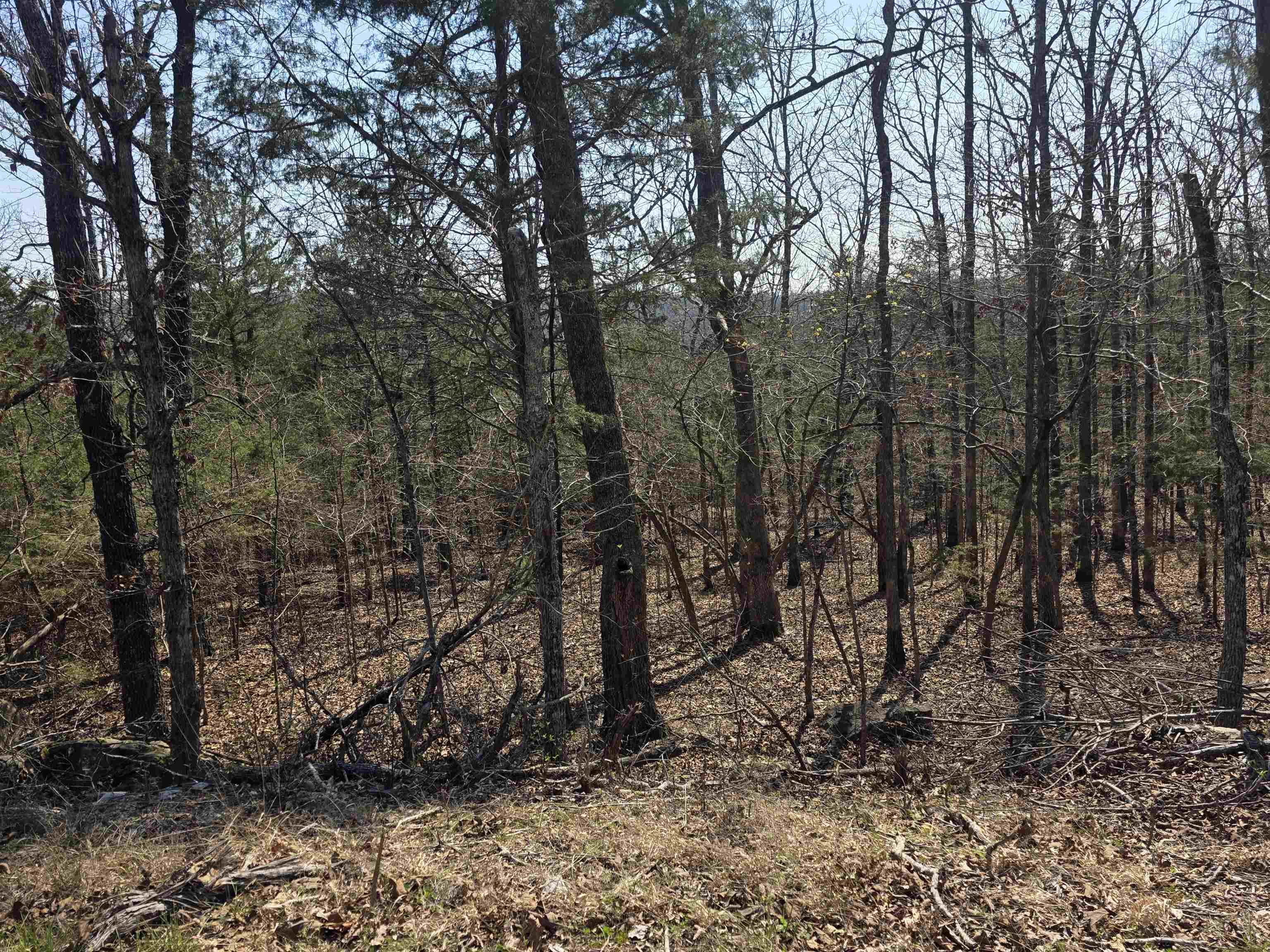 Photo 7 - Vacant Land for sale – L31 B3  Ohew   Cherokee Village, AR