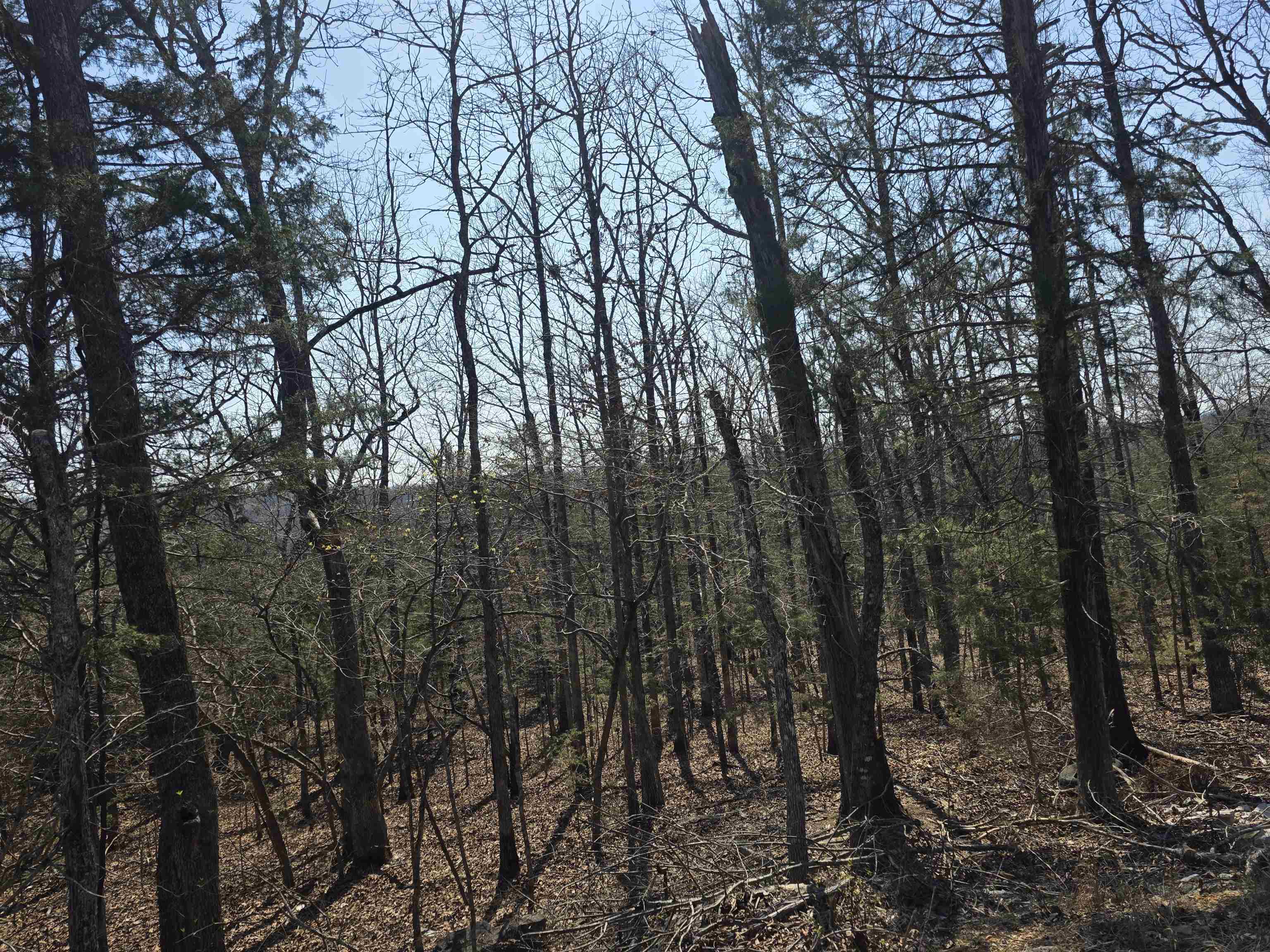 Photo 8 - Vacant Land for sale – L31 B3  Ohew   Cherokee Village, AR