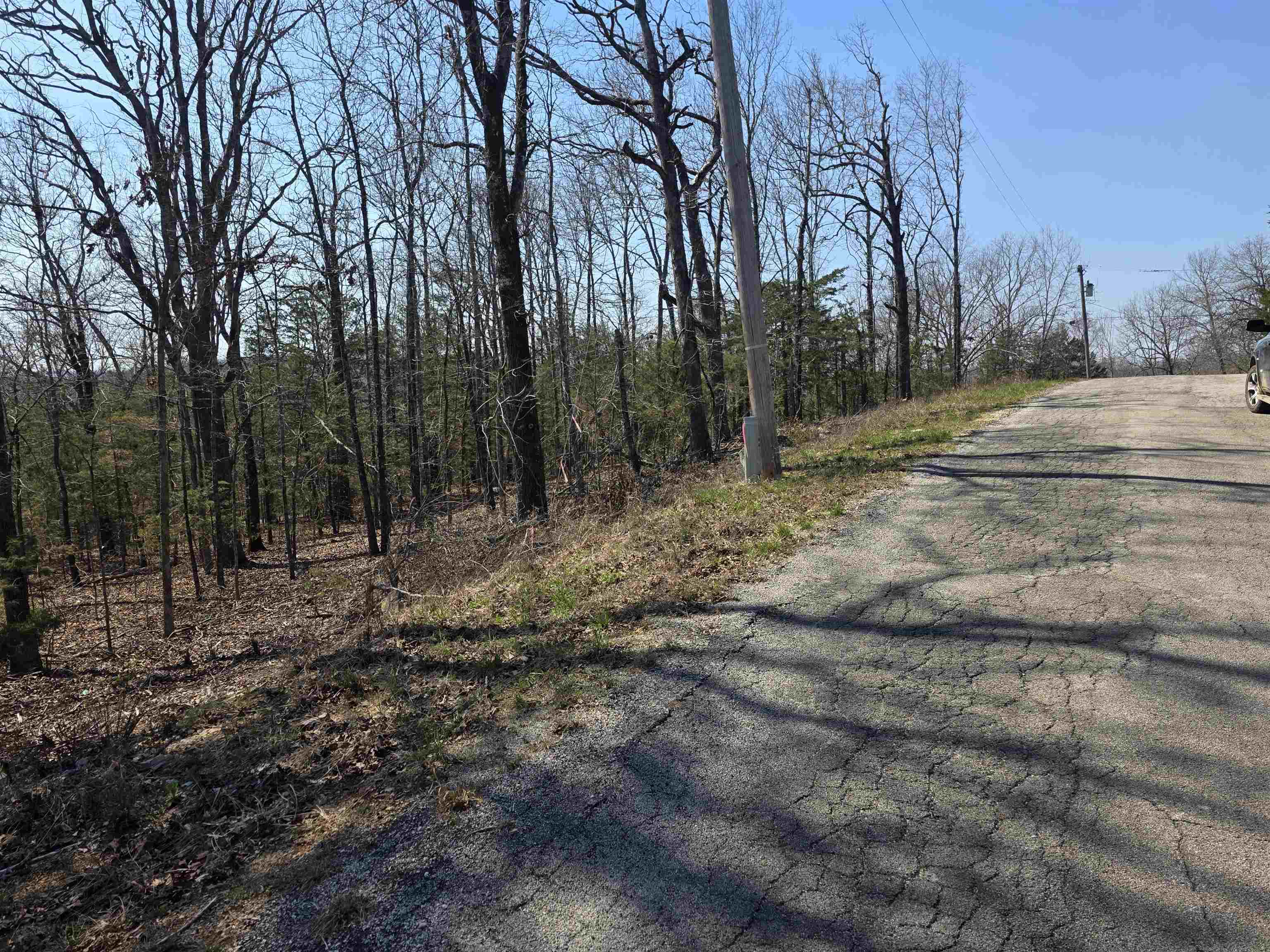 Photo 10 - Vacant Land for sale – L31 B3  Ohew   Cherokee Village, AR