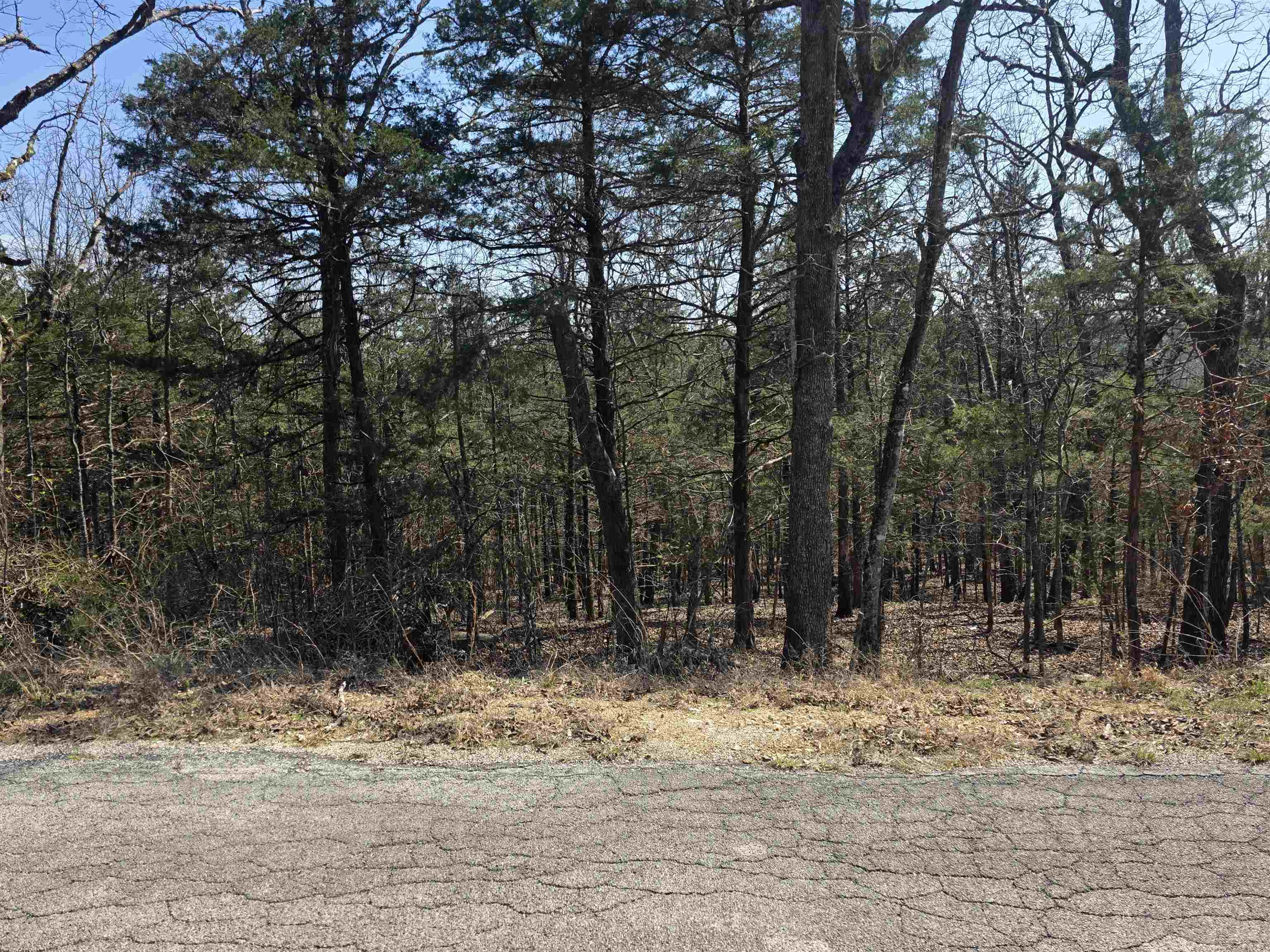 Vacant Land for sale – L28 B3  Ohew   Cherokee Village, AR