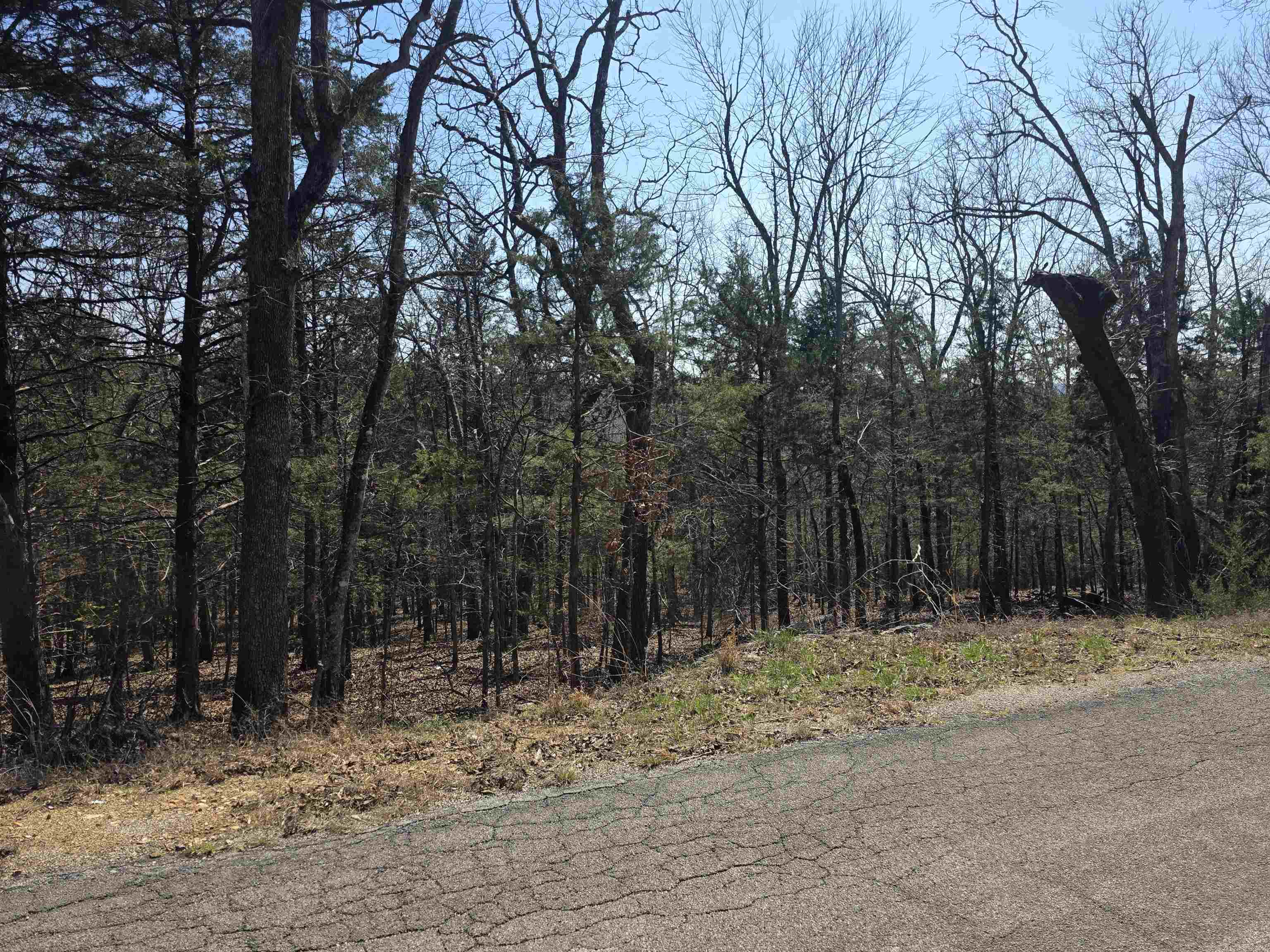 Photo 2 - Vacant Land for sale – L28 B3  Ohew   Cherokee Village, AR