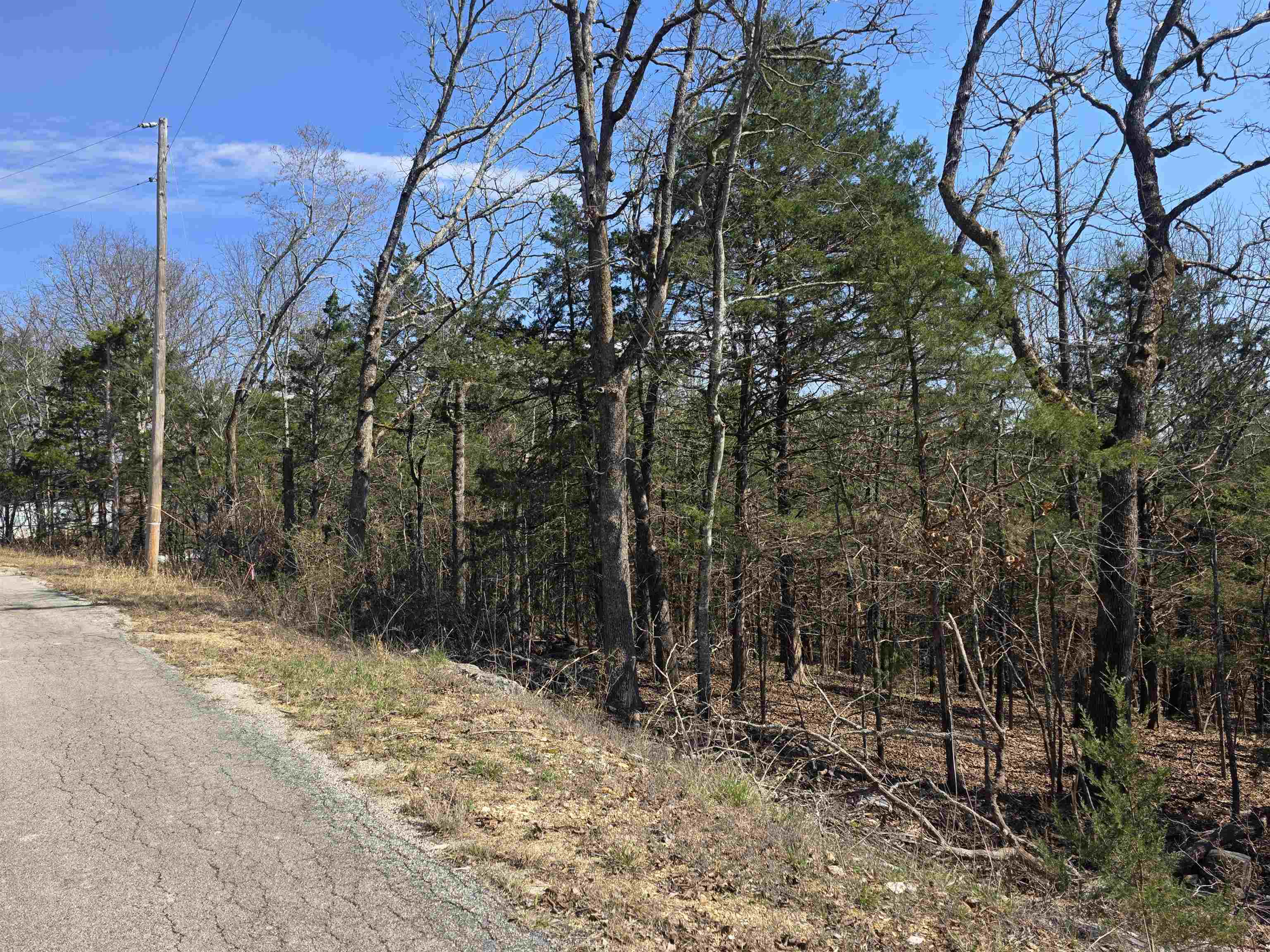 Photo 11 - Vacant Land for sale – L28 B3  Ohew   Cherokee Village, AR